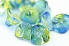 10pc 10x12mm COATED YELLOW BLUE CZECH GLASS 3 PETAL FLOWER CZ096-10